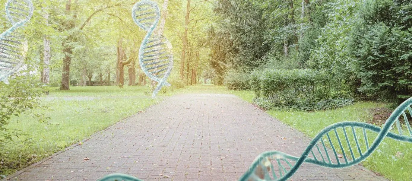 discover your wellness with myfitgenes personalized solutions with Genoplan DNA test and science backed supplements