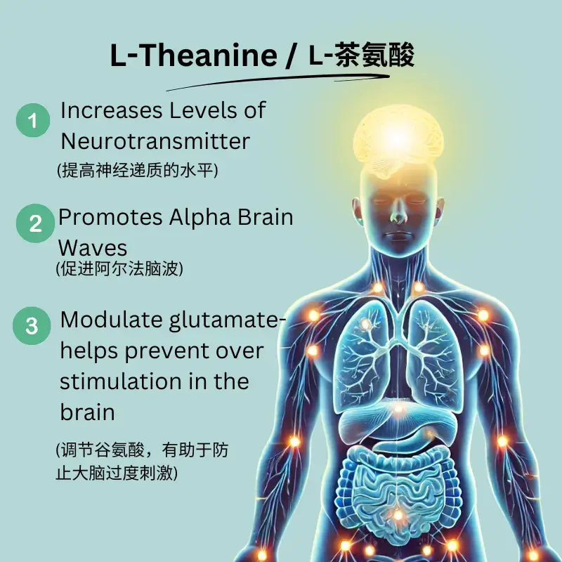 How L-theanine in MYND360 Feel Calm boosts serotonin, dopamine, and reduces stress for better mental health