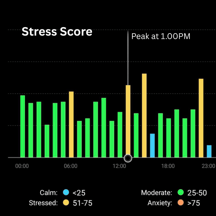 image showing stress is at peak at 1.00pm-extract from JC ring app